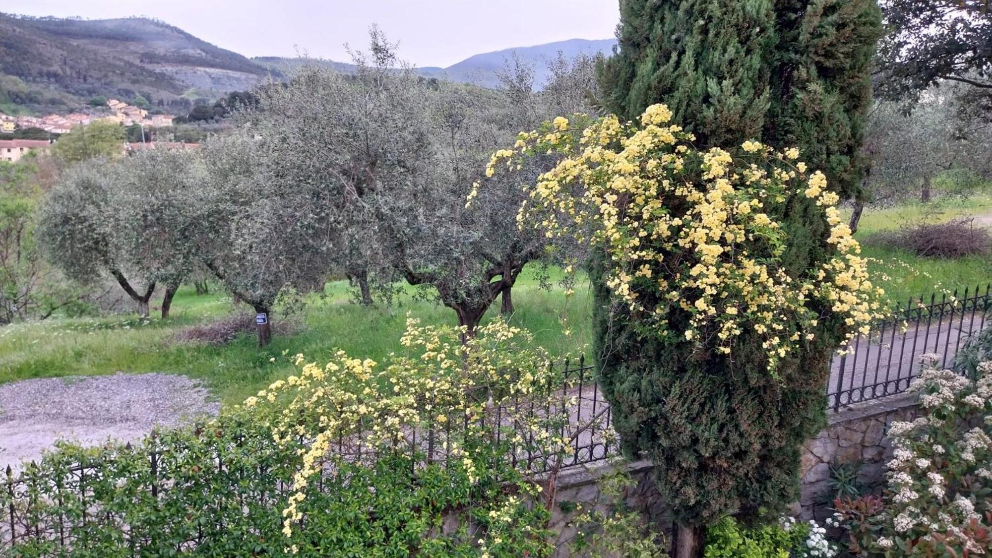 Villa Salviati Прато Екстер'єр фото